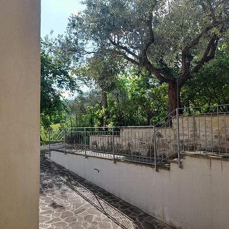 Camping Agriturist Sant'Anna Castelplanio Room photo