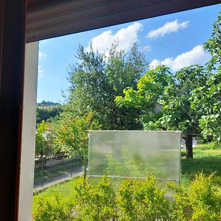 Camping Agriturist Sant'Anna Castelplanio Room photo