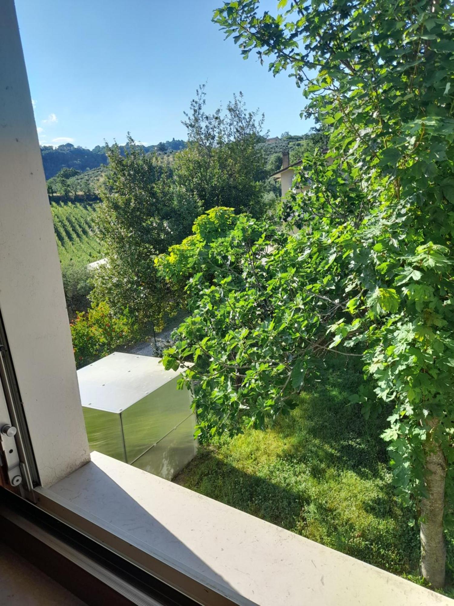 Camping Agriturist Sant'Anna Castelplanio Room photo