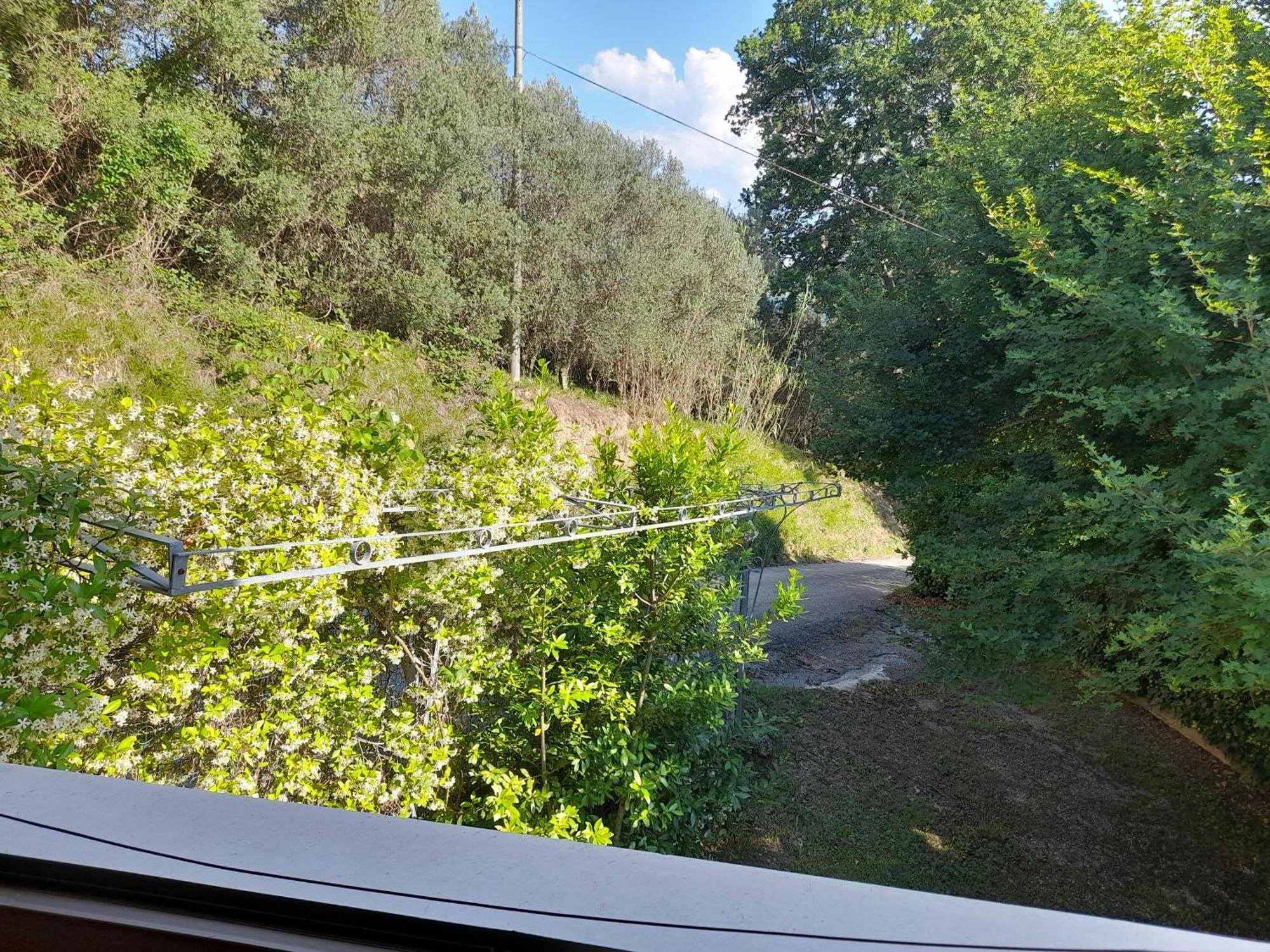 Camping Agriturist Sant'Anna Castelplanio Room photo